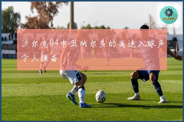 沙尔克04中卫纳尔多的高速入球声令人振奋