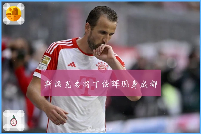 斯诺克名将丁俊晖现身成都