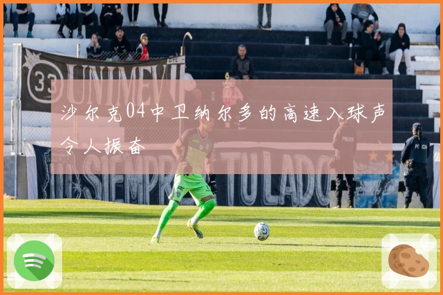 沙尔克04中卫纳尔多的高速入球声令人振奋