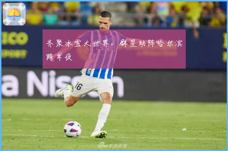 齐聚冰雪大世界，群星助阵哈尔滨跨年夜