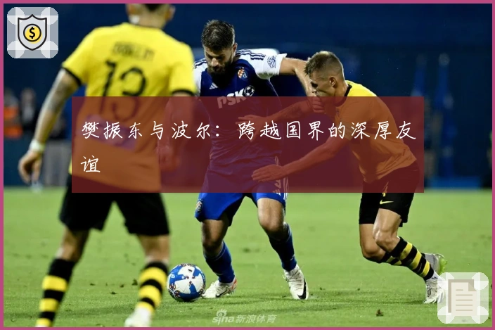 樊振东与波尔：跨越国界的深厚友谊